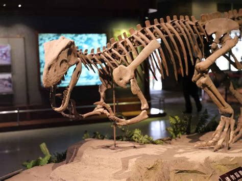  ¡Sumérgete en la Historia con los Impresionantes Dinosaurios de Zigong!