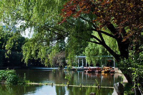 ¡Sumérgete en la Historia y la Belleza Natural del Jardín de la Ciudad de Lu Xun!